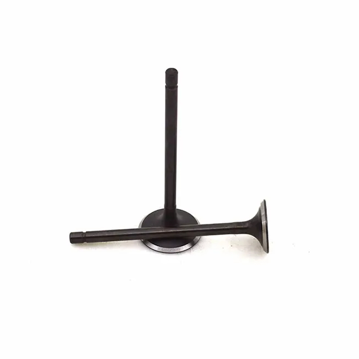 OEM Motorcycle Intake Exhaust Engine Valve Set for Suzuki GD110 Smash 115 